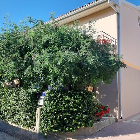 Studio Rocco Novigrad  Bagian luar foto