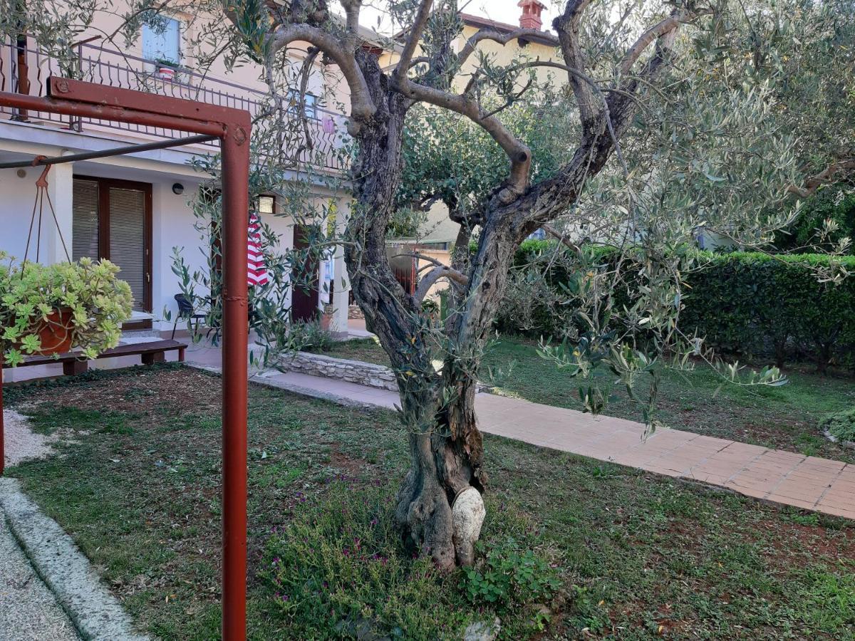 Studio Rocco Novigrad  Bagian luar foto